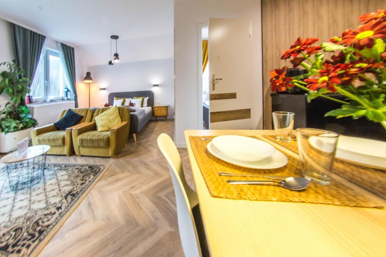 Apartamenty Izerskie - Ul. Cicha 13H-I Świeradów-Zdrój 외부 사진